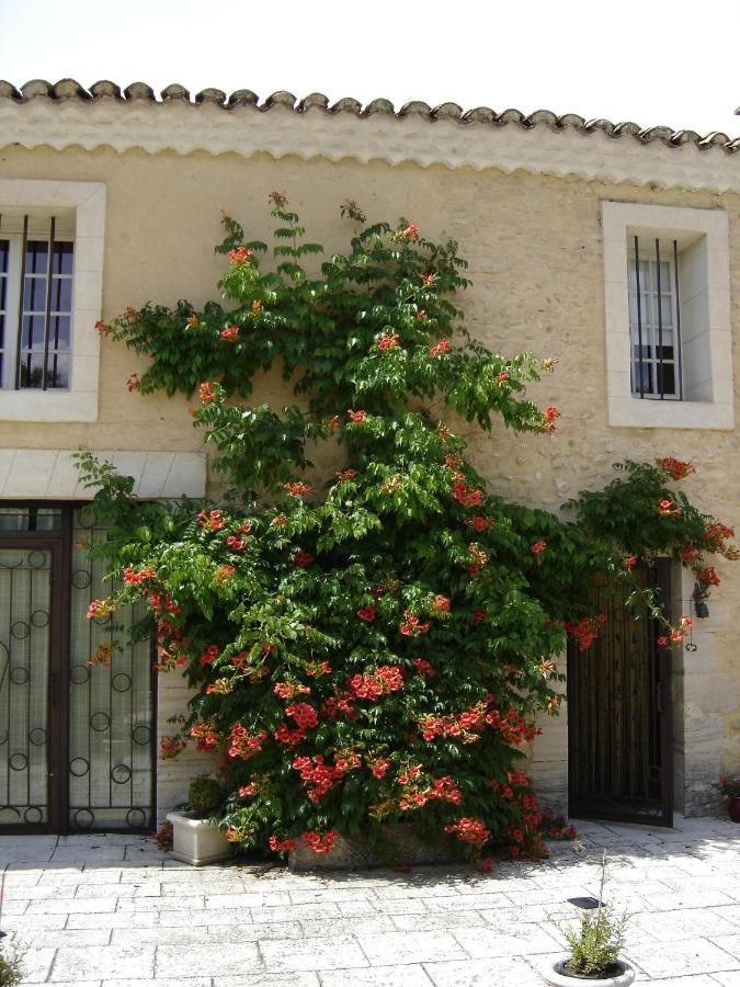 Mas Solige Carpentras Buitenkant foto